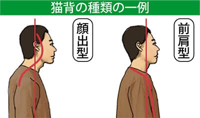 ベンチプレスで筋肥大しない方の特徴