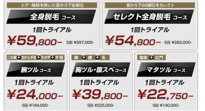 ゴリラ脱毛の料金