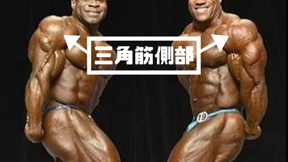 ・三角筋側部