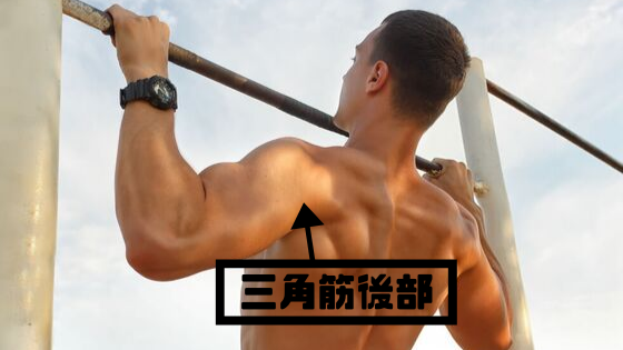 ・三角筋後部