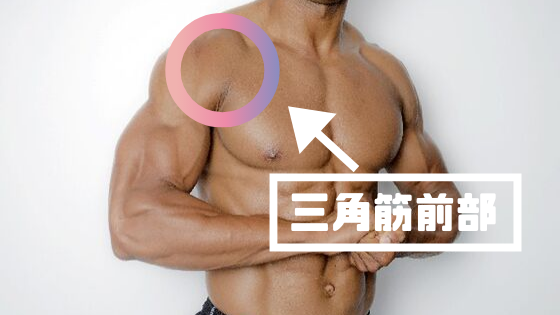・三角筋前部