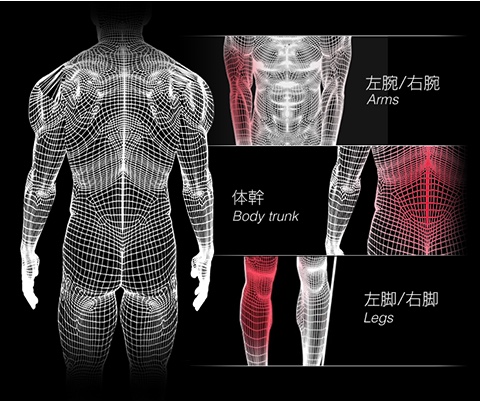 筋肉量の正しい計測方法について